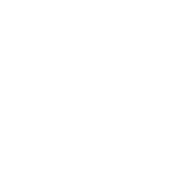 Values